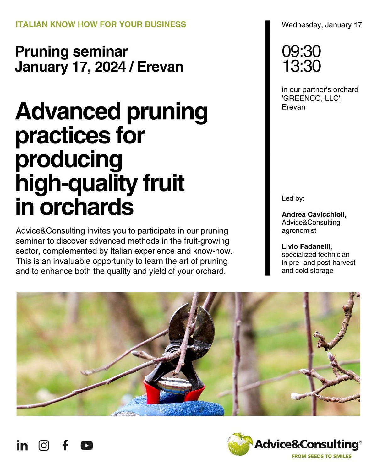 PRUNING SEMINAR PRUNING SEMINAR